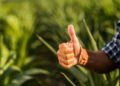 Mapa Dá o Primeiro Passo para Impulsionar Projetos Sustentáveis na Agropecuária