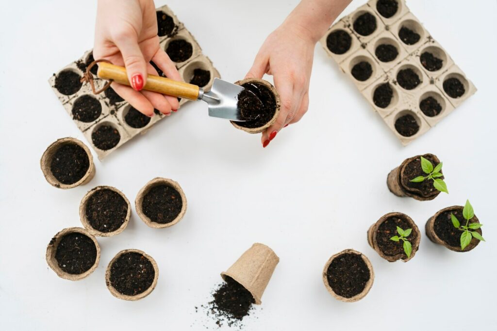 Enraizador natural: o truque caseiro para acelerar o crescimento das suas plantas