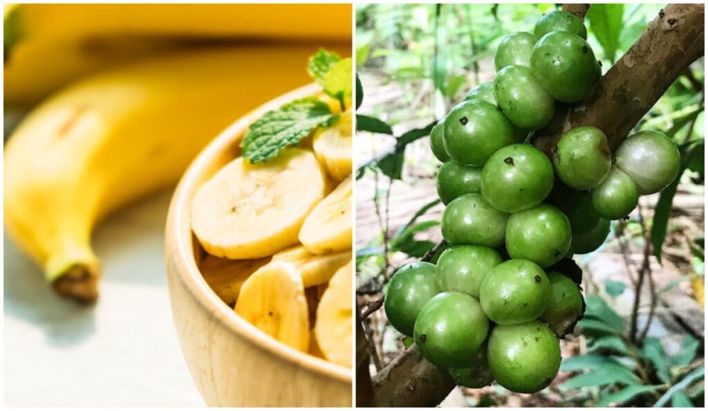 O contraste entre a fruta mais rara e a mais amada do Brasil