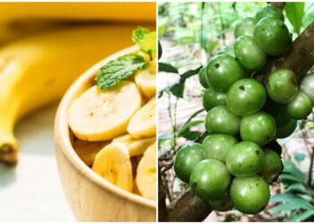 O contraste entre a fruta mais rara e a mais amada do Brasil
