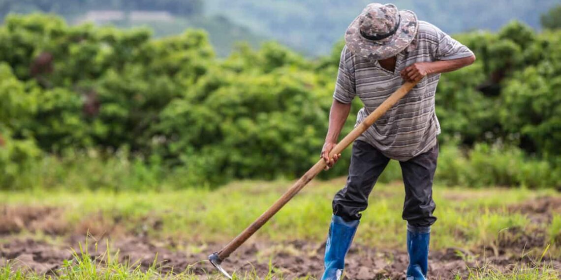 Programa Terra Forte destina R$ 300 milhões para fortalecer a agricultura familiar no RS