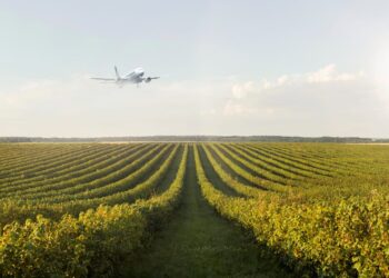“Estamos a dias de um desastre”: agro brasileiro na mira das tarifas dos EUA