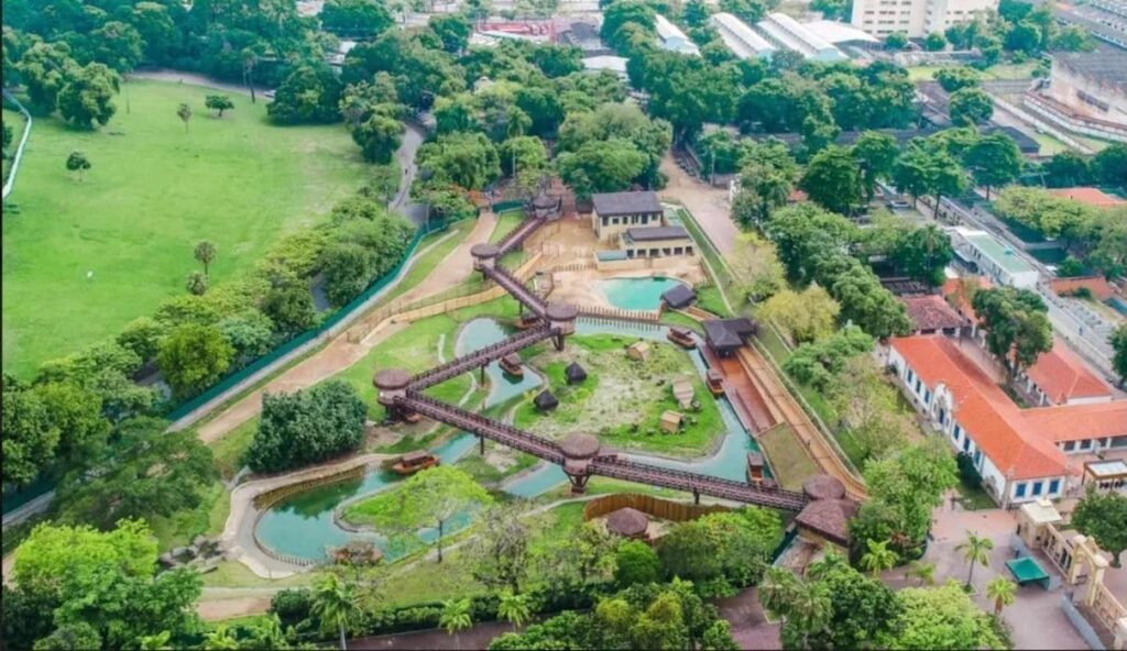 Gripe aviária fecha temporariamente zoológico do Rio após mortes de aves