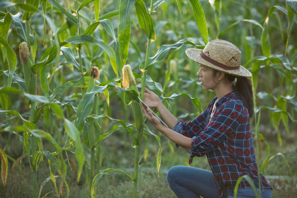 Etanol de milho transforma o agro brasileiro e rompe limites do Cerrado