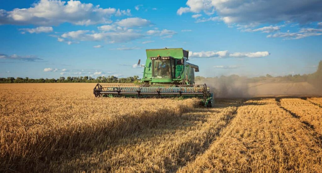 Plantio de soja avança no Paraná e safra 2025/26 já supera expectativas