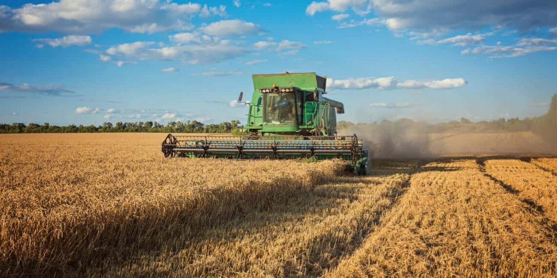 Começa em agosto o cadastro para antecipar o plantio da soja na Bahia