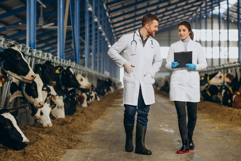 Cria de excelência: como genética e nutrição garantem lucros reais na pecuária