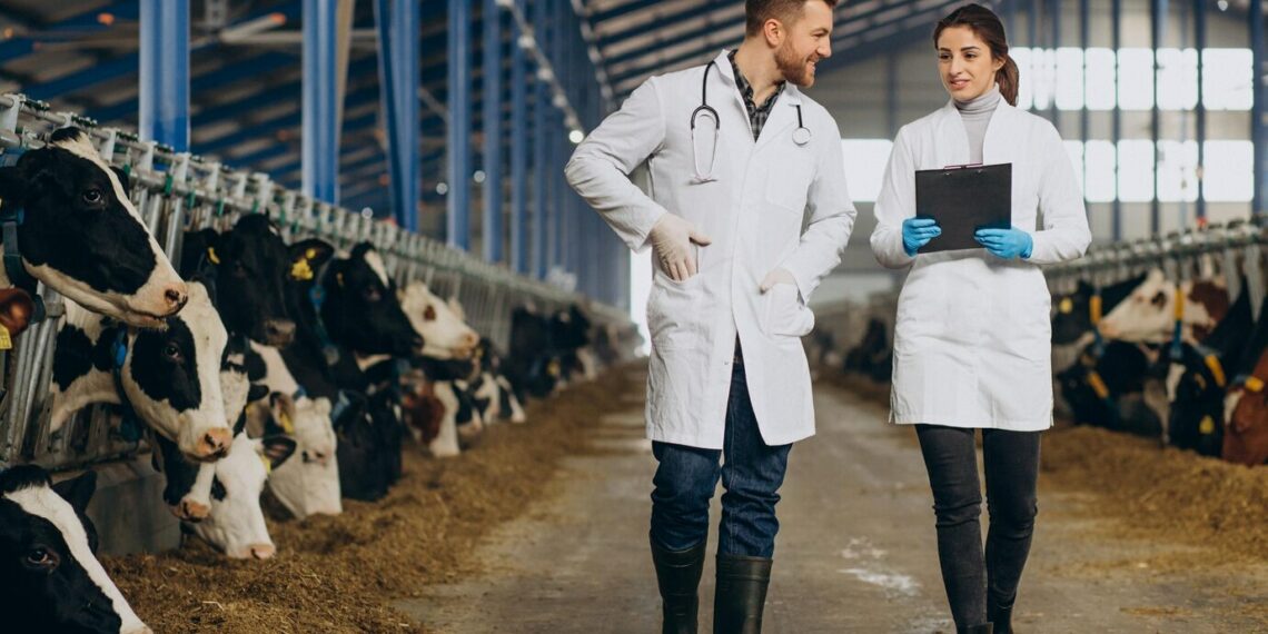 Leite: preço ao produtor despenca 25,8% em 2025 e acende alerta na pecuária