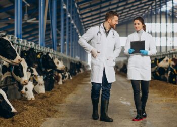 Leite: preço ao produtor despenca 25,8% em 2025 e acende alerta na pecuária