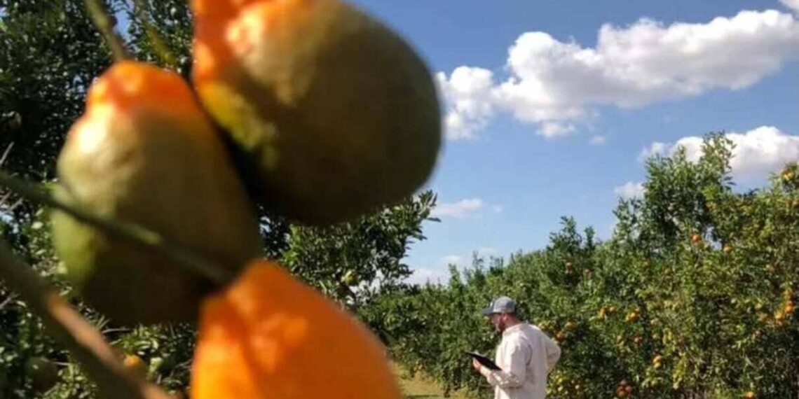 Imagem: giovannisant.ago