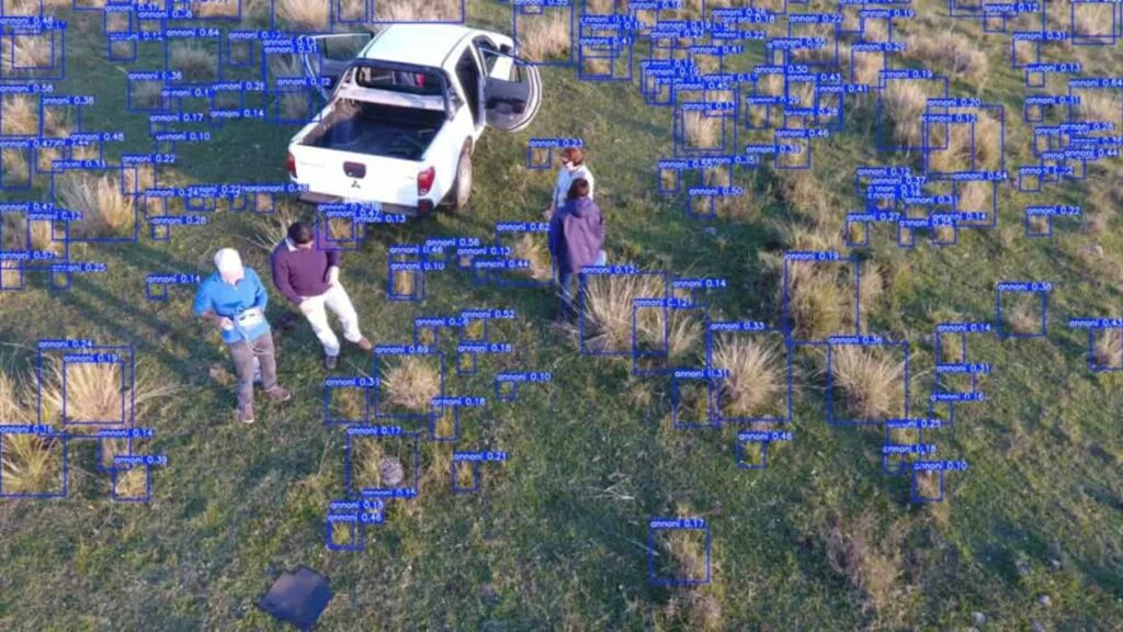 Tecnologia no pasto: projeto gaúcho usa IA para revolucionar o agronegócio