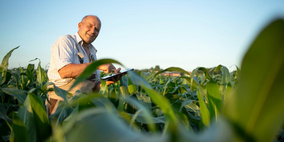 Brasil aposta em novas fontes para o biodiesel: da soja ao pinhão-manso, o futuro já começou