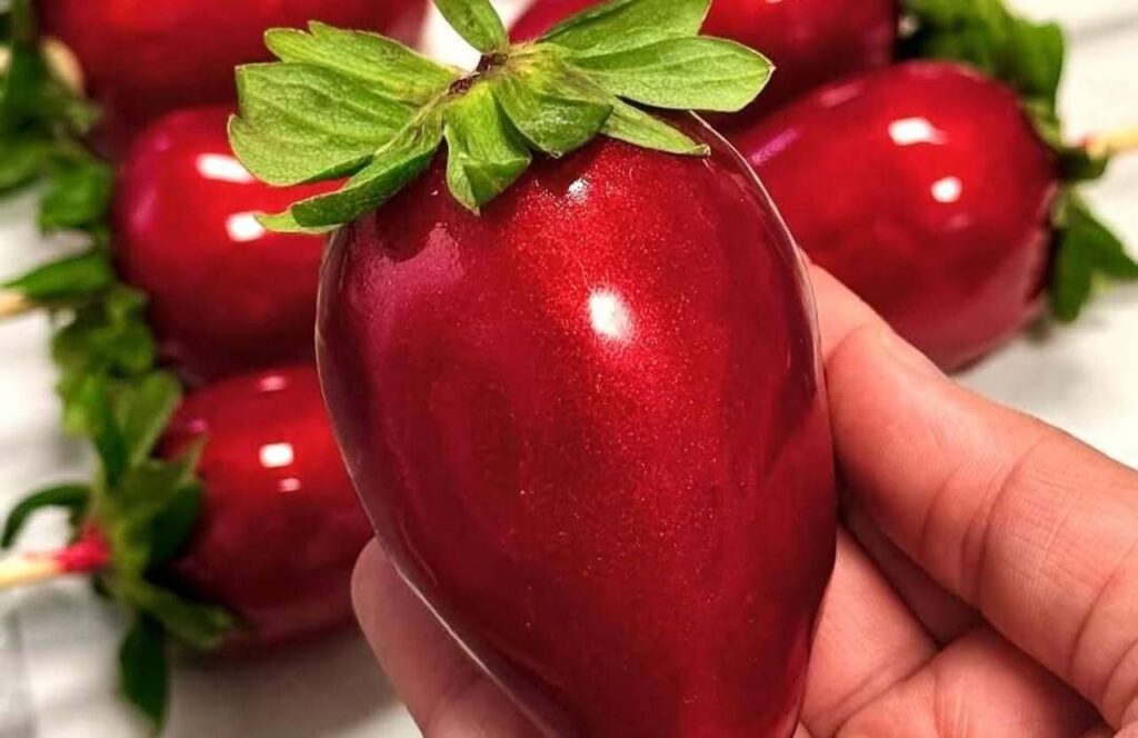 Febre do morango do amor aquece o mercado e vira fonte de renda para milhares