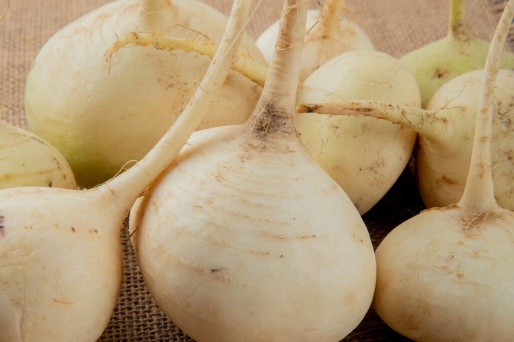 Nabo no jardim e no prato: a hortaliça que cresce rápido e entrega sabor e saúde na medida certa