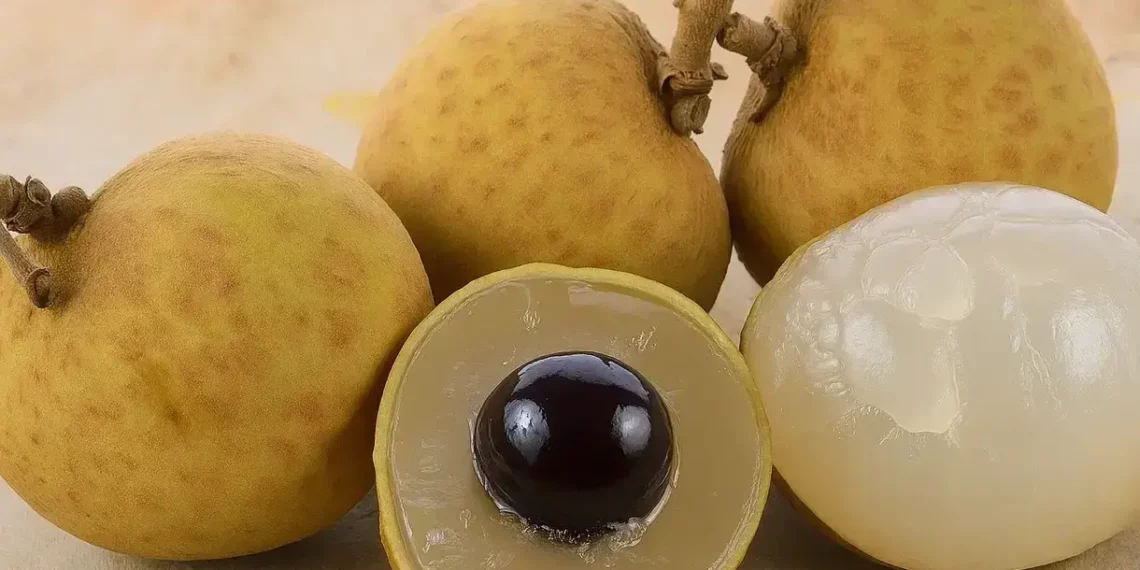 Olho-de-dragão: a fruta exótica que encanta com sabor doce e aparência mística