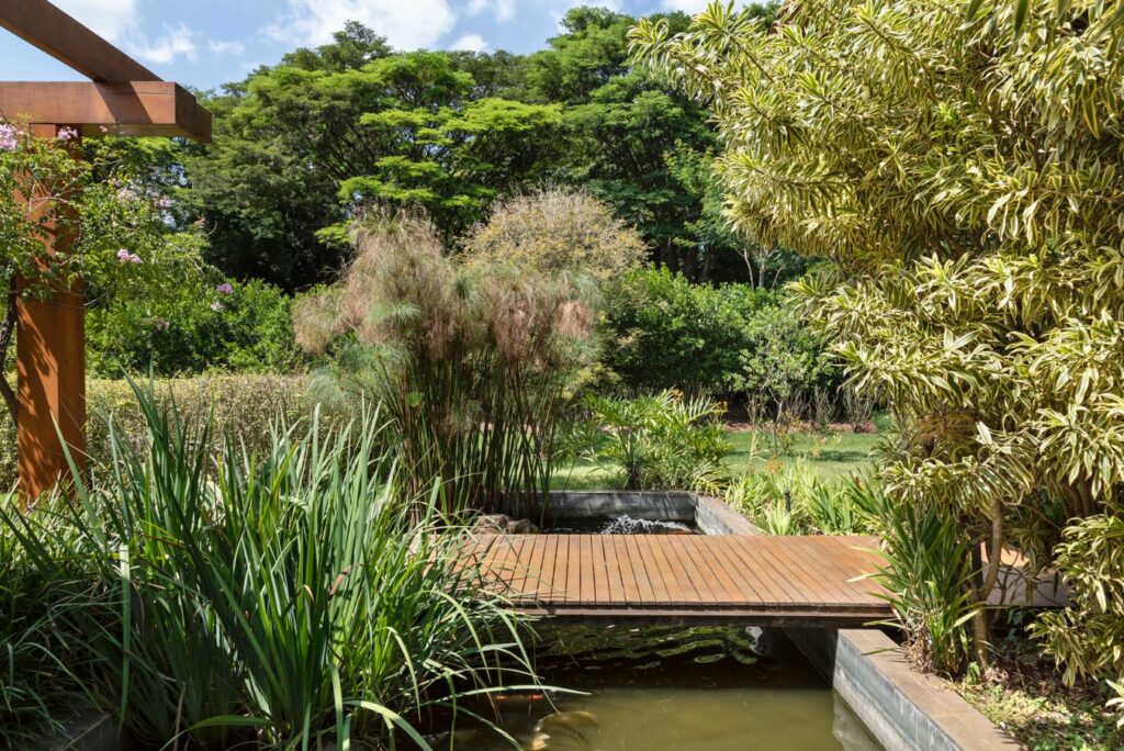 Plantas no inverno: cuidados e que espécies resistem bem à estação