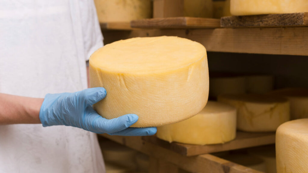 Pequenas agroindústrias vão ganhar força para vender em todo o Brasil