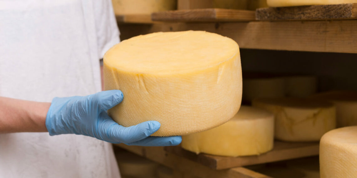 Minas preserva o DNA dos sabores mineiros com a criação da primeira Queijoteca do Brasil