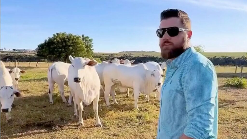Zé Neto e a paixão pelo Nelore: quando o sertanejo vira referência na pecuária de elite