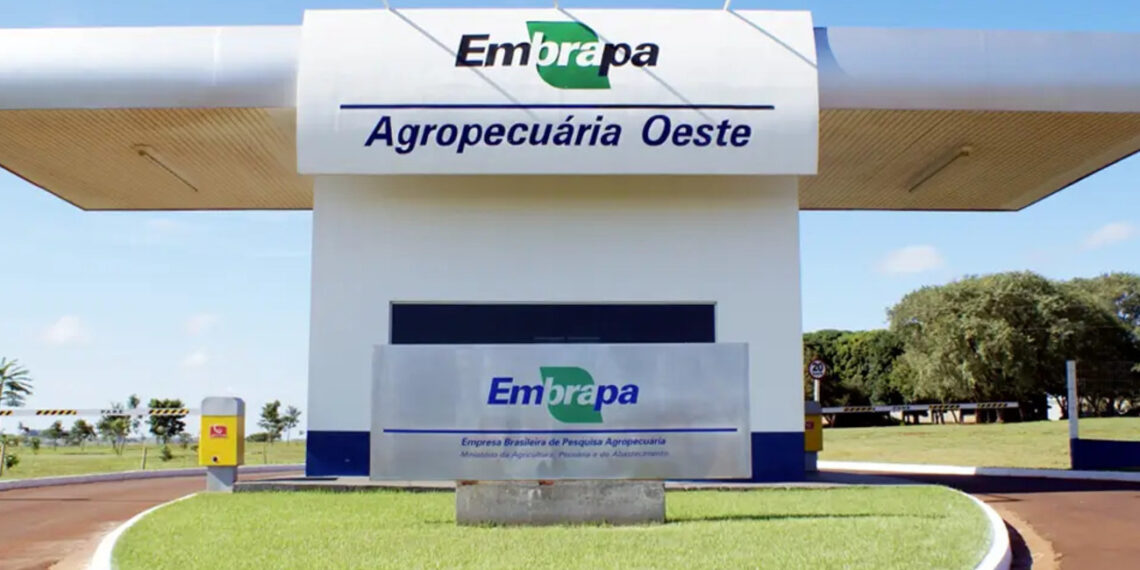 Concurso da Embrapa: etapas atualizadas, novos resultados e chamadas divulgadas