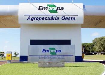 Concurso da Embrapa: etapas atualizadas, novos resultados e chamadas divulgadas