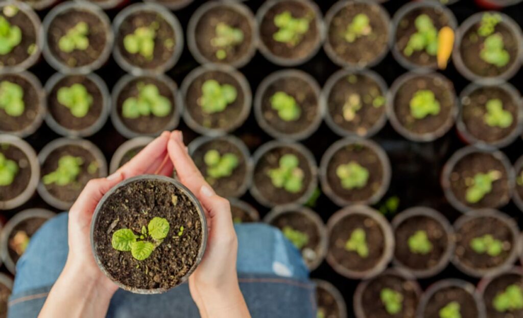 Premiação do Selo Agro Mais Integridade abre caminho para valorizar boas práticas no campo