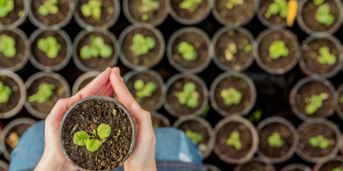 Premiação do Selo Agro Mais Integridade abre caminho para valorizar boas práticas no campo
