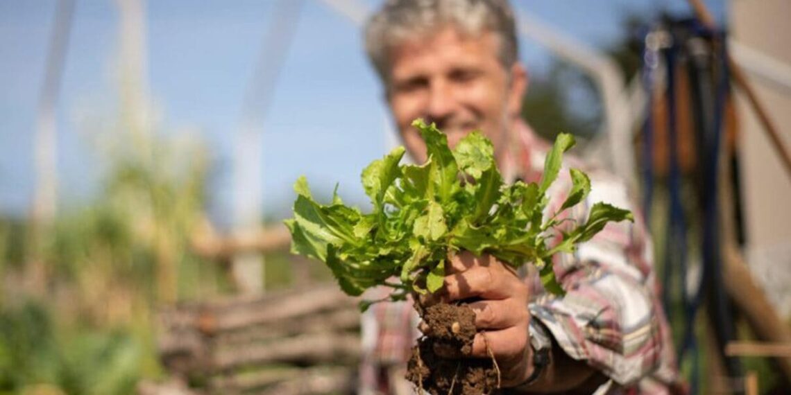 Sebrae abre inscrições para nova edição do Speed Agro em SP