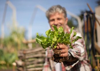 Sebrae abre inscrições para nova edição do Speed Agro em SP