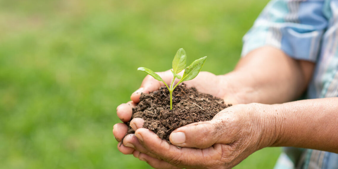 Curitiba recebe os protagonistas do agro mundial em congresso decisivo