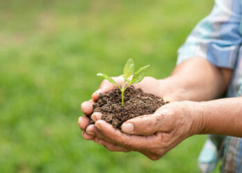 Como funciona a tributação no campo: orientações essenciais para o produtor rural