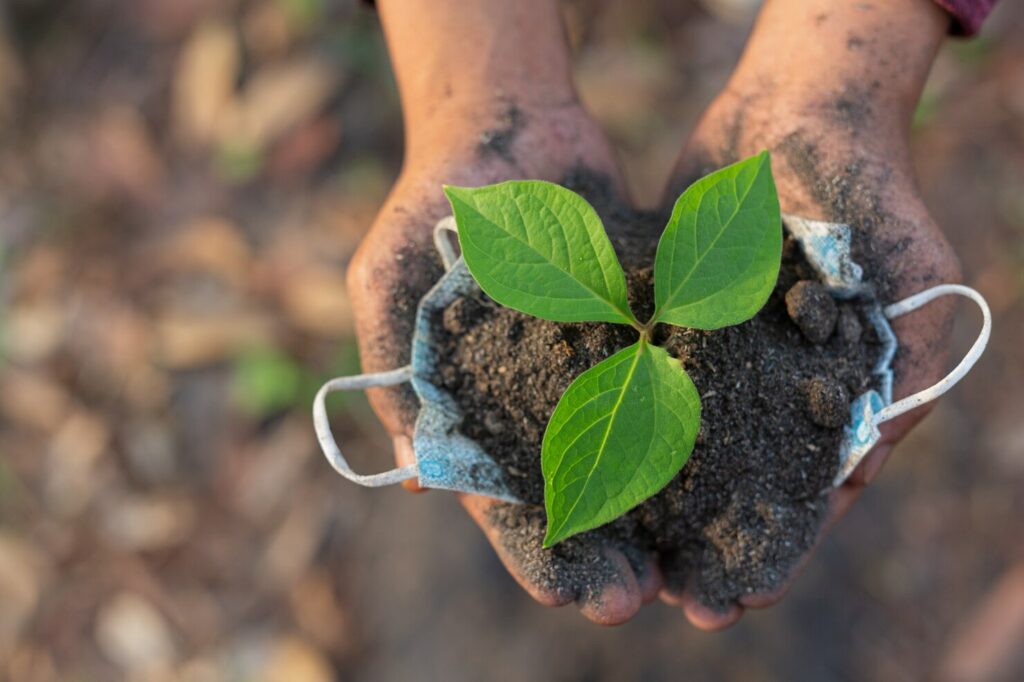 Agroecologia na prática: o encontro entre saberes tradicionais e inovação no campo