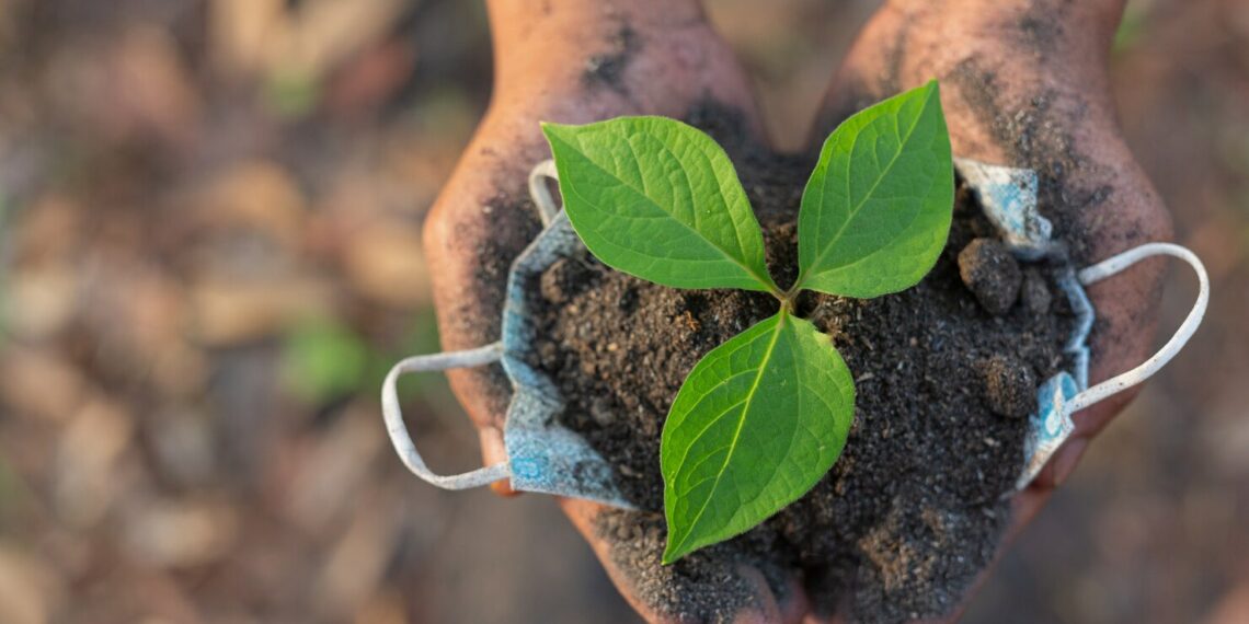 Ranking dos municípios paulistas com melhores práticas agropecuárias será divulgado na próxima segunda-feira (15)