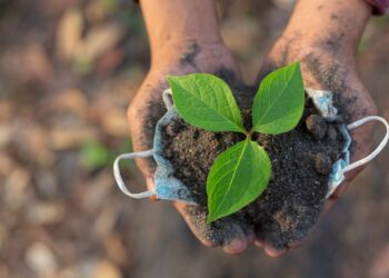 Ranking dos municípios paulistas com melhores práticas agropecuárias será divulgado na próxima segunda-feira (15)