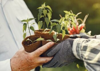 Sebrae Minas lança ALI Rural 2026 com bolsa de R$ 5 mil e atuação prática no campo
