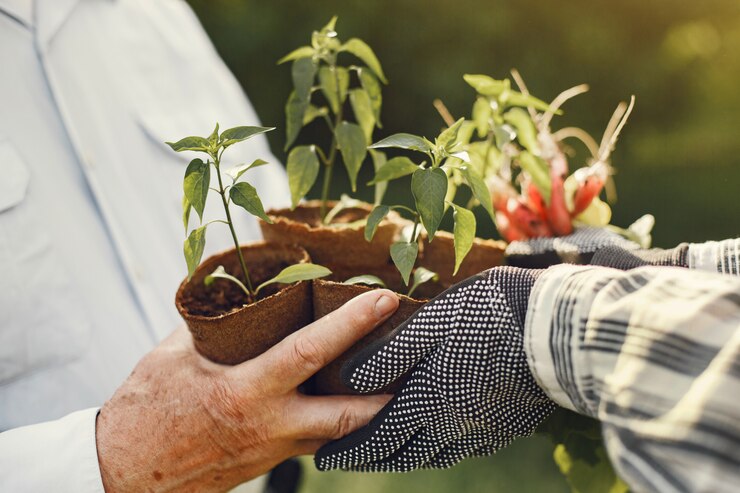 Agroecologia na prática: o encontro entre saberes tradicionais e inovação no campo