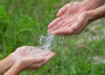 Goiás amplia proteção do Cerrado com incentivos diretos a pequenos produtores