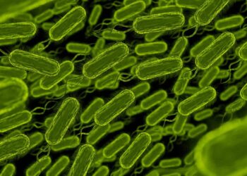 Embrapa promove formação sobre Bacillus e qualidade de bioinsumos agrícolas