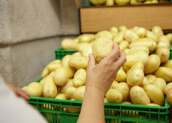 Cebola e batata ficam mais baratas em julho nas Centrais de Abastecimento