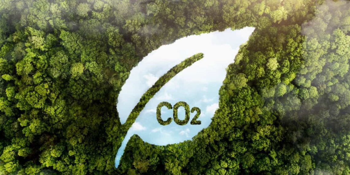Pecuária carbono zero: como o Brasil está reduzindo as emissões no campo