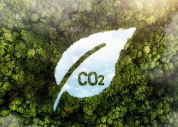 Pecuária carbono zero: como o Brasil está reduzindo as emissões no campo