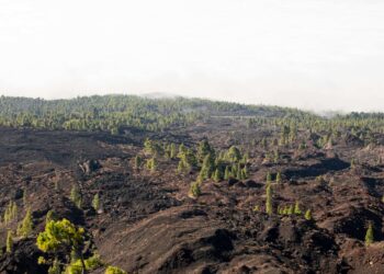 Mais de 110 milhões de hectares de natureza foram perdidos no Brasil desde 1985