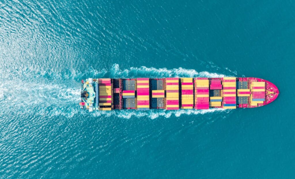 Ovinos vivos do Brasil ganham espaço na Argélia