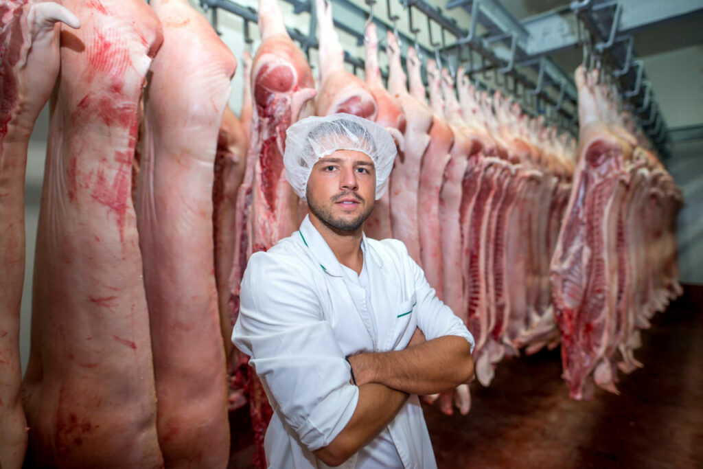 Carne suína brasileira mira liderança global até o fim da década