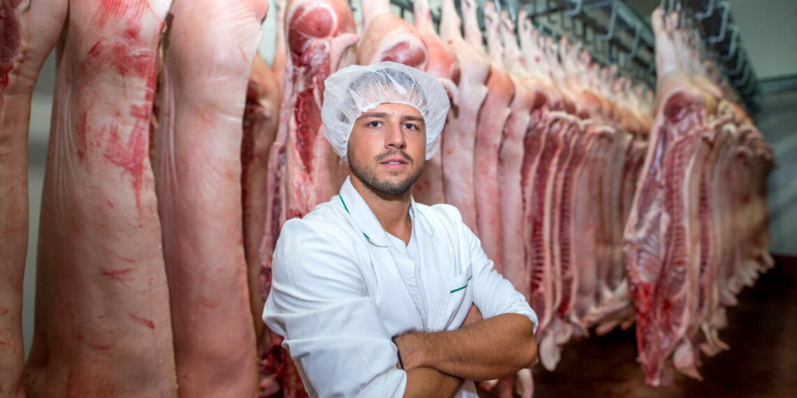 Carne suína brasileira mira liderança global até o fim da década