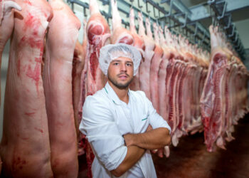 Carne suína brasileira mira liderança global até o fim da década
