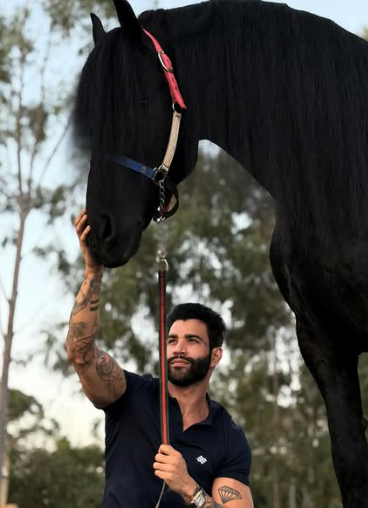 Latino compra 50% de cavalo de Gusttavo Lima por R$ 5 milhões
