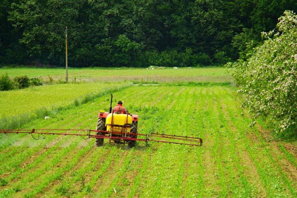 Chega ao Brasil o Icafolin-metil, inovação no controle de plantas daninhas resistentes