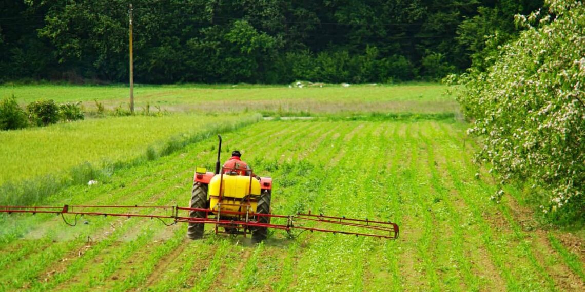 Chega ao Brasil o Icafolin-metil, inovação no controle de plantas daninhas resistentes
