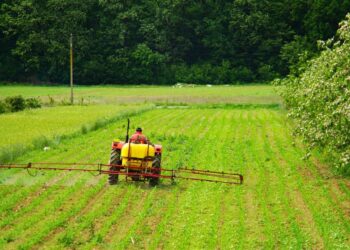 Chega ao Brasil o Icafolin-metil, inovação no controle de plantas daninhas resistentes